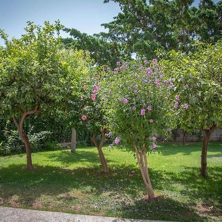 Ferienwohnung Piso Con Jardin Málaga Exterior foto
