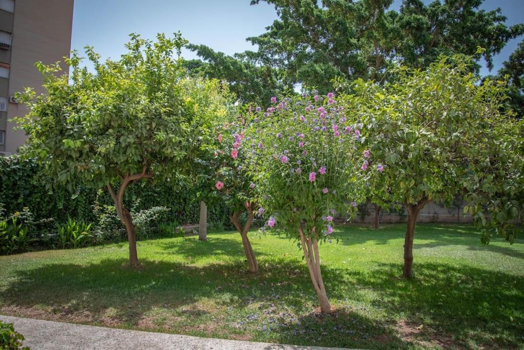 Ferienwohnung Piso Con Jardin Málaga Exterior foto